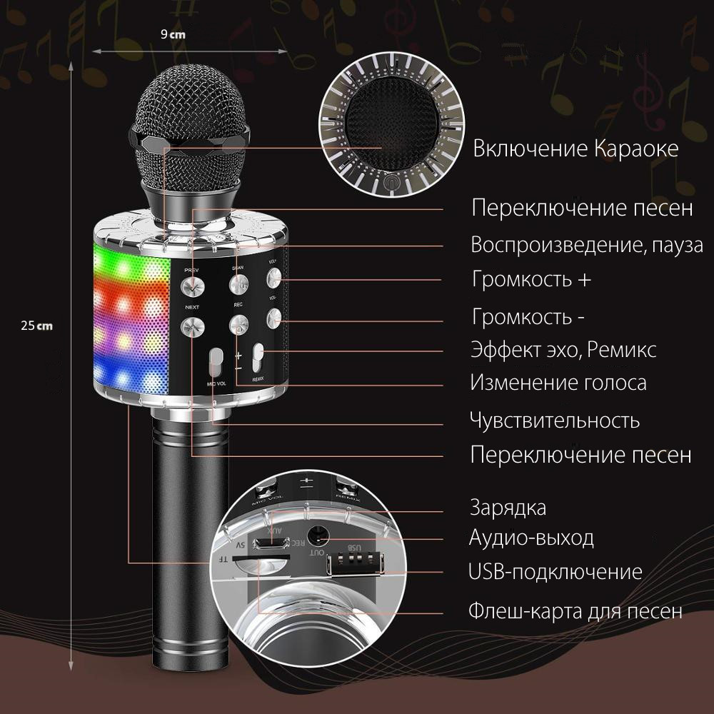 Домашнее караоке в подарок